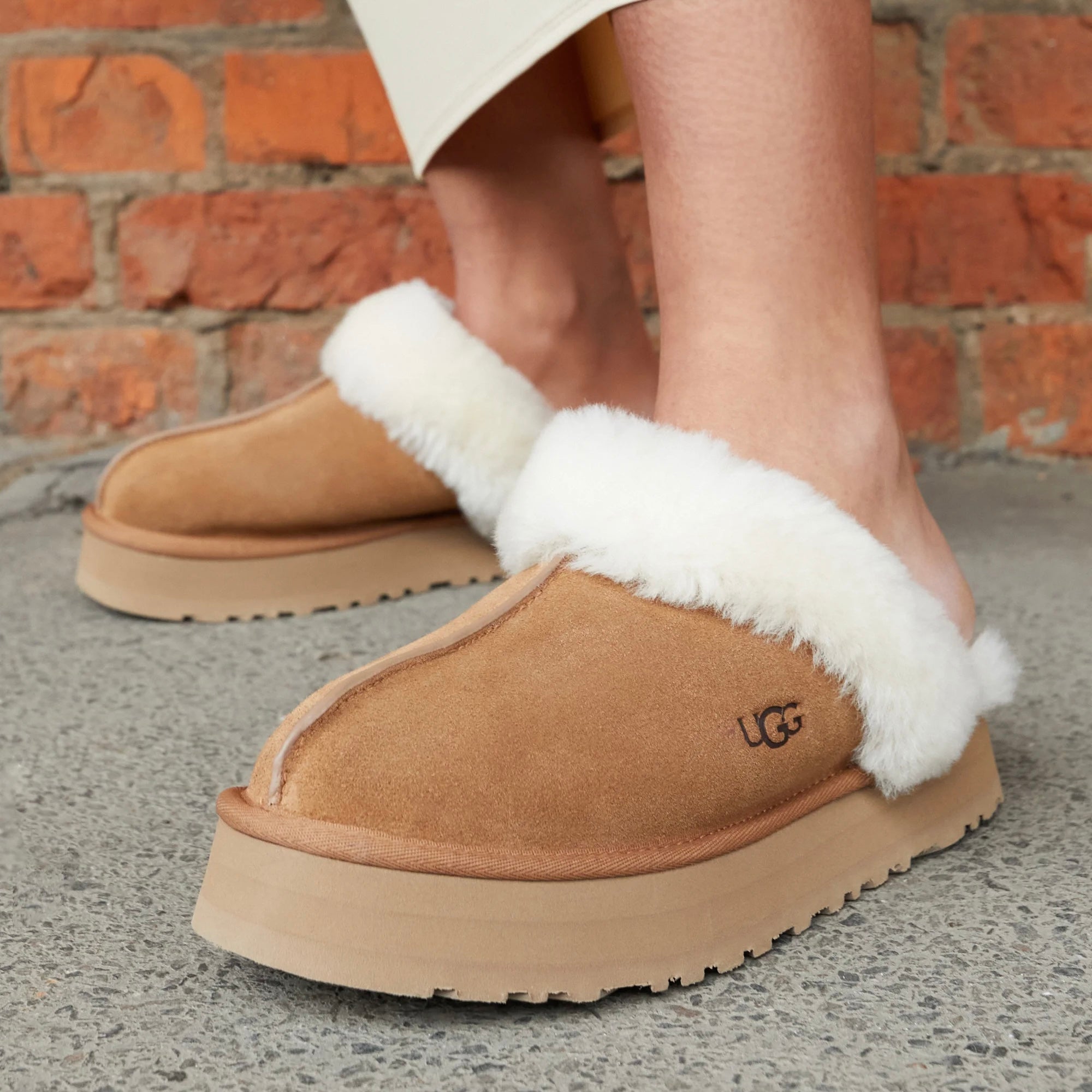 UGG Disquette Slipper Chestnut