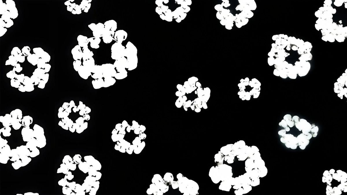 DENIM TEARS SWEATPANTS