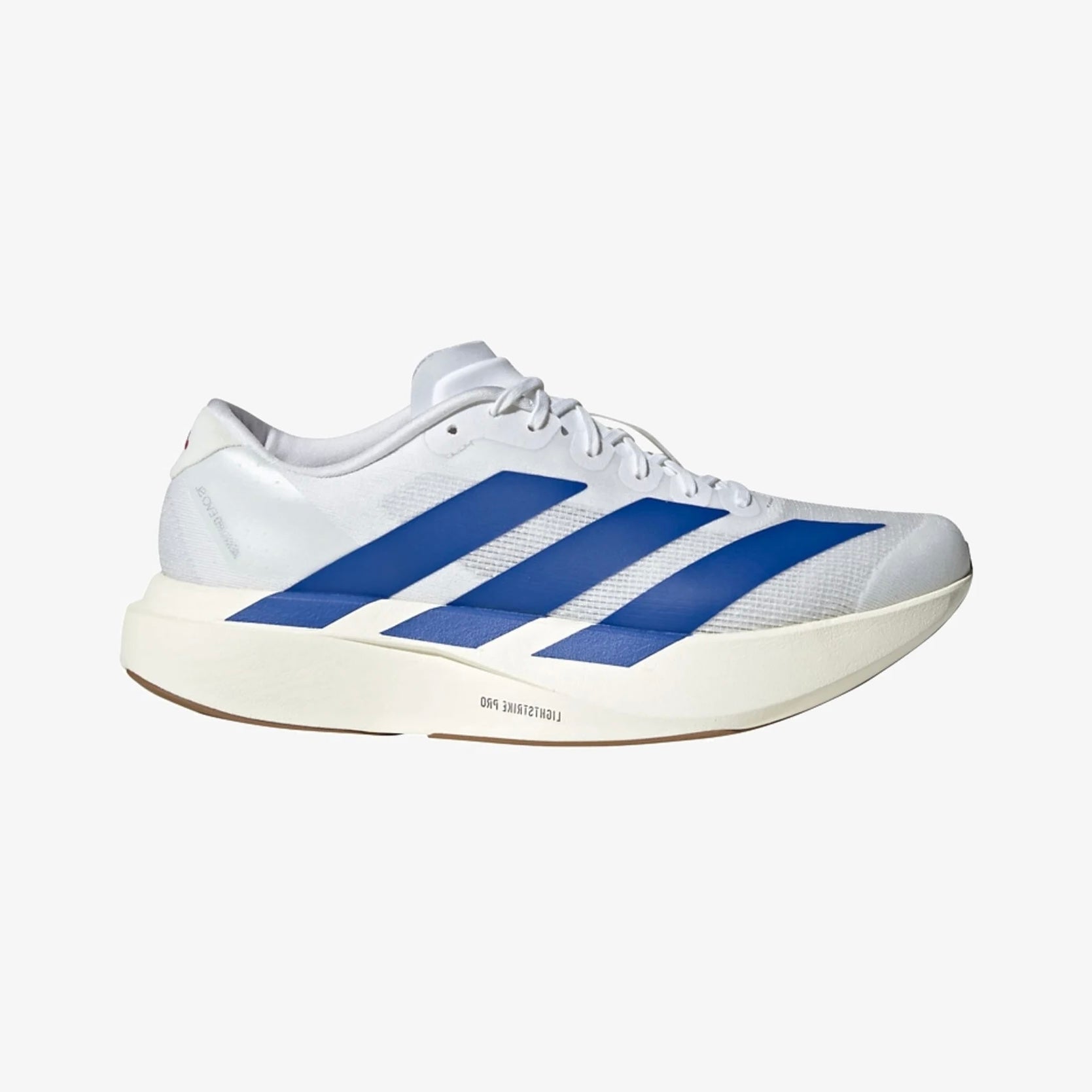 Adidas Adizero Evo SL Blanc Bleu Royal 
